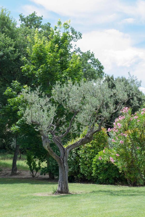 Le Bouquet De L Aromate Bed and Breakfast Joucas Exteriör bild